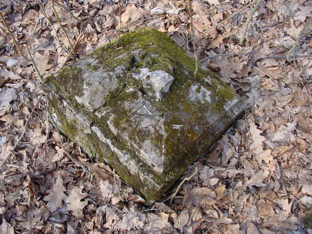 Fragment uszkodzonego lub przewr�conego nagrobka.