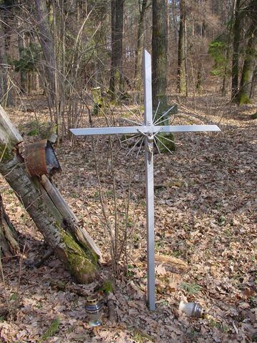 Widok og�lny cmentarza i zachowanych nagrobk�w.