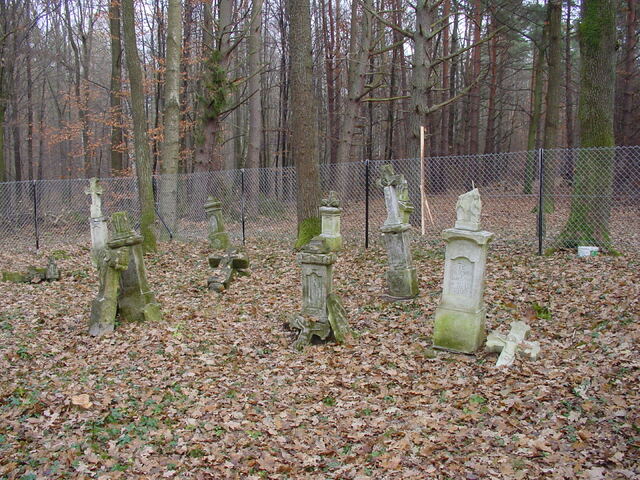 Widok og�lny cmentarza i zachowanych nagrobk�w.