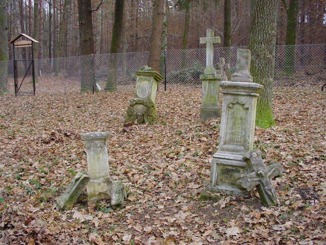 Widok og�lny cmentarza i zachowanych nagrobk�w.