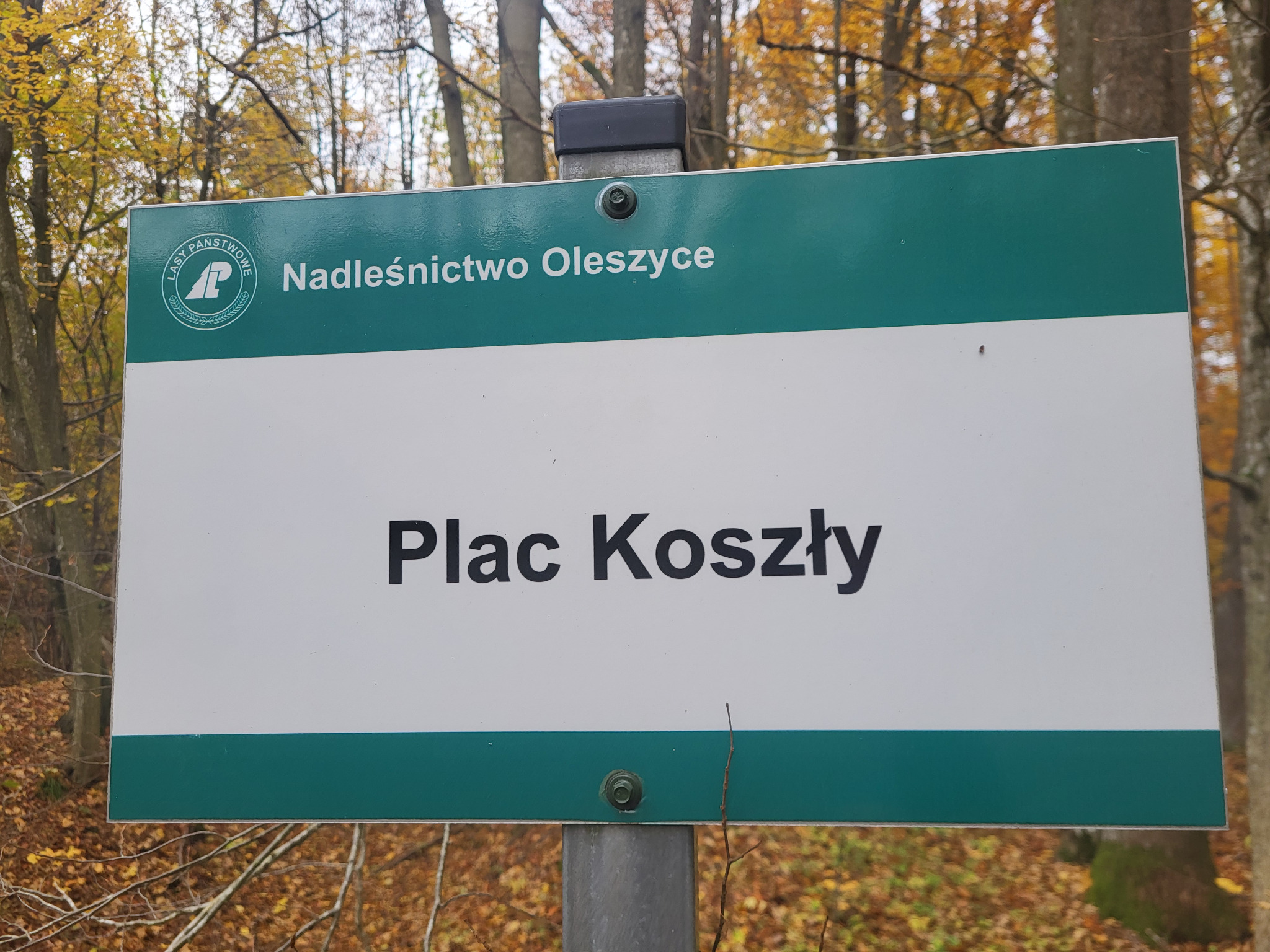 Tablica Nadleśnictwa Oleszyce „Plac Koszły”.