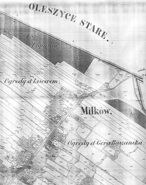 Fragment mapy katastralnej Miłkowa (XIX w.)