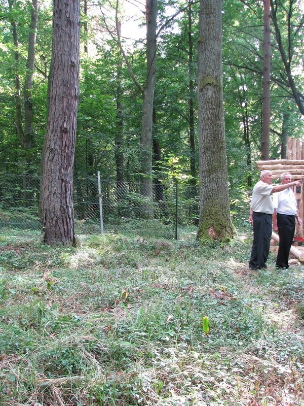 Odpust w Mi�kowie, 30 sierpnia 2009 r. � fotografia 13