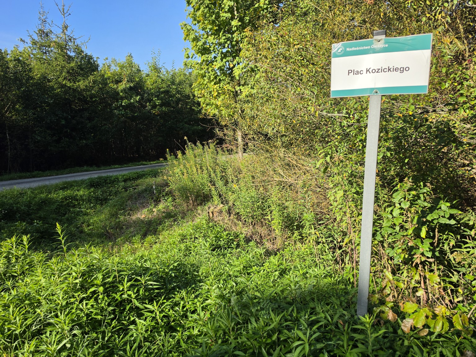 Tablica Plac Kozickiego przy leśnej drodze