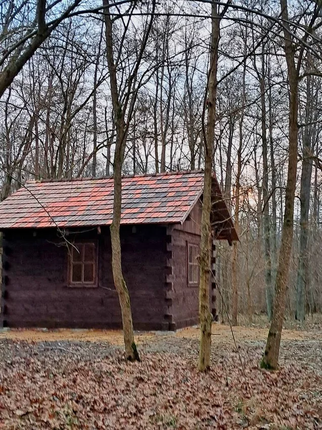 Świąteczny spacer po Miłkowie, 26 grudnia 2025 r. — fotografia 1