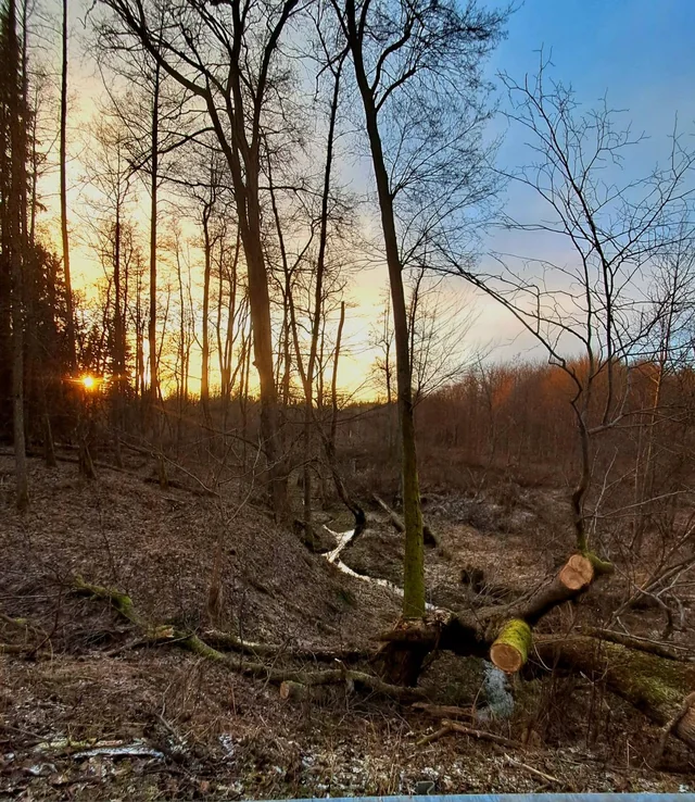 Świąteczny spacer po Miłkowie, 26 grudnia 2025 r. — fotografia 9